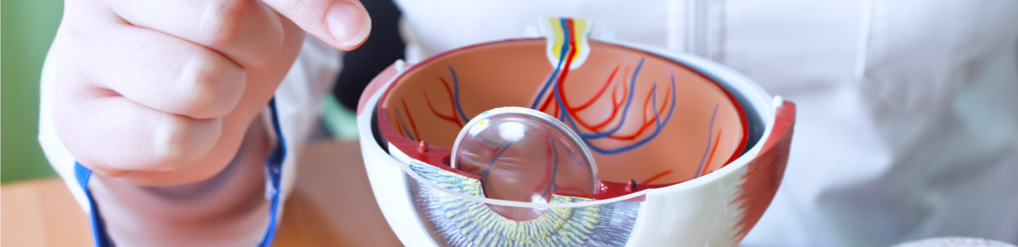 Eye Diseases/ Ophthalmology